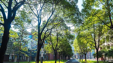 浙江工業大學之江學院怎么樣具體地址在哪？是幾本學費貴嗎？
