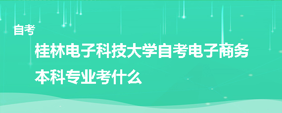 桂林电子科技大学自考电子商务本科专业考什么